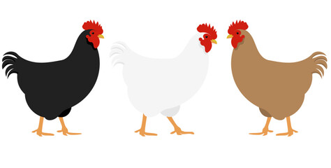 hen and chicken
