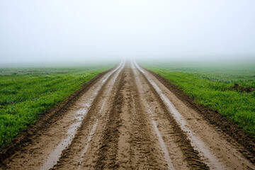 misty rural dirt road stretches into distance, evoking sense of tranquility.