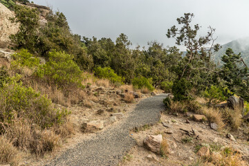Hiking trail near Jabal Sawda mountain, Saudi Arabia