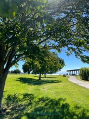 A sea breeze through the trees in a park
