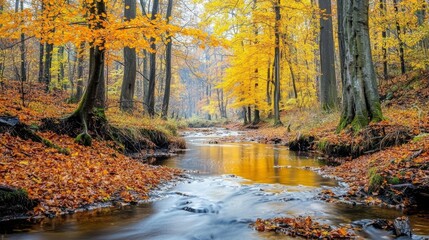 A Serene Stream Flowing Through a Golden Autumn Forest