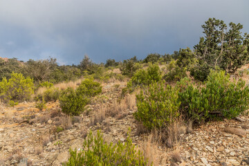 Landscape of Jabal Sawda mountain, Saudi Arabia