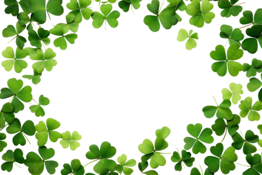 PNG  Clover leaves are scattered in the form of a frame backgrounds plant green.
