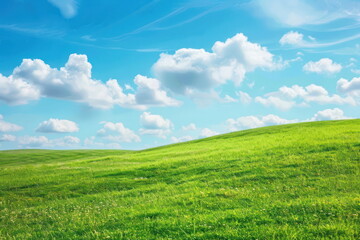 Fototapeta premium Smooth meadow on the hill with blue sky, beautiful landscape