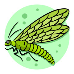 33-Lacewing.svg
