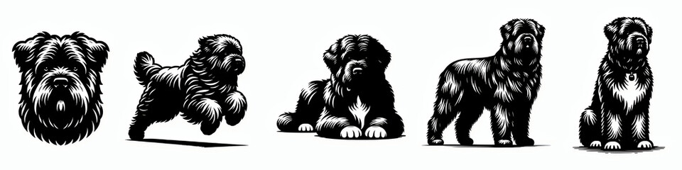 Obraz premium Bouvier des flandres vector silhouette illustration clip art design element bundle