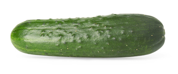 One fresh green cucumber isolated on white