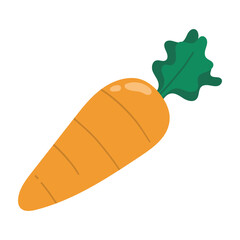 Carrot vector flat illustration