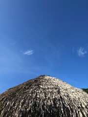 traditional palm house thatched roof and blue sky in Venezuela, Amazon 
