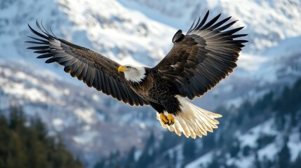 A majestic eagle in mid-flight, showcasing its wings spread wide against a dramatic mountain backdrop.