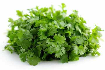 Fototapeta premium fresh coriander isolated on white background
