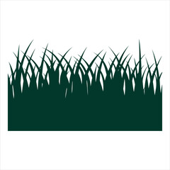green grass on white
