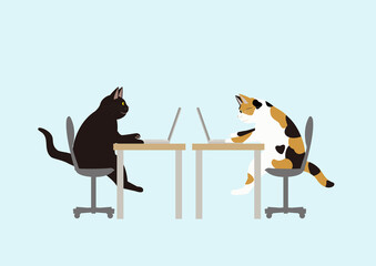 向かい合ってノートパソコンで作業する2匹の猫　黒猫と三毛猫