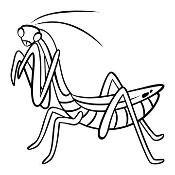 black and white praying mantis clip art preview