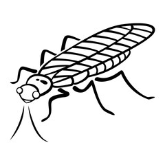 46-Stonefly.svg