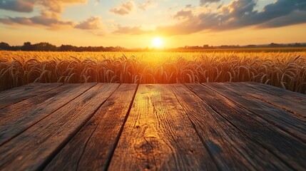 A wooden table in a wheat field is bathed in the warm light of sunset, capturing a picturesque rural setting.