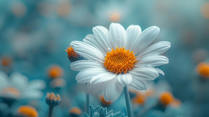 Close-up of a White Daisy with Yellow Center in a Field of Blurred Flowers - Illustration