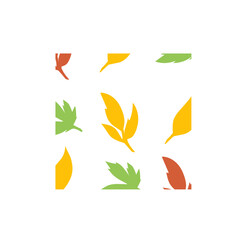 autumn leaf pattern vector