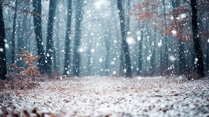 Snow Falling Through a Forest of Trees