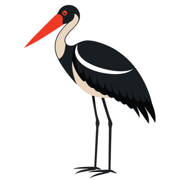 recommend clip art: Solid color Marabou Stork animal vector design