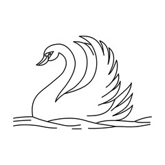 hand drawn illustration of  a swan