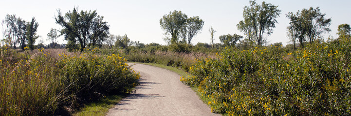 Ultra-wide panorama of native trees and sunflowers along the recreational trail in autumn at Cuba...