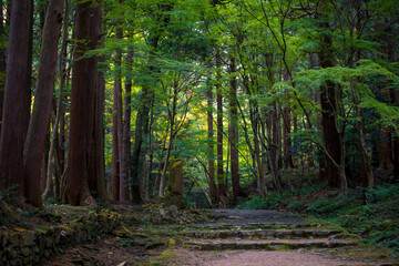 Obraz premium Autumn at the ancient temple in Shiga Prefecture, Japan