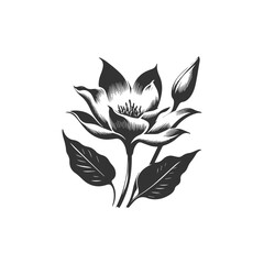 flower vector nature floral