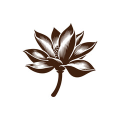 black and white flower