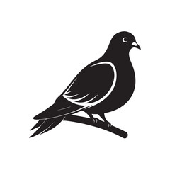 Obraz premium Black silhouette of pigeon