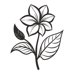 Plant blossom flower leaf Silhouette line art vector illustration
