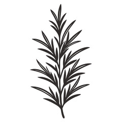 Rosemary icon Silhouette line art vector illustration
