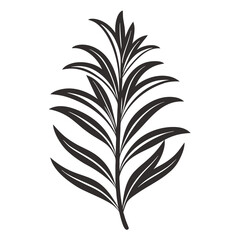 Rosemary icon Silhouette line art vector illustration
