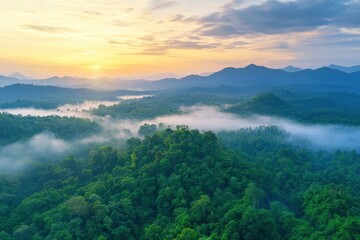 Aerial top view forest tree, Rainforest ecosystem and healthy environment concept background, Texture of green tree forest view from above, generative ai
