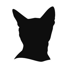 Cool Abyssinian Cat Silhouette with Sunglasses – Isolated Vector Design