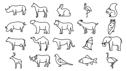 animal collection icon line vector design in trendy style with editable stroke