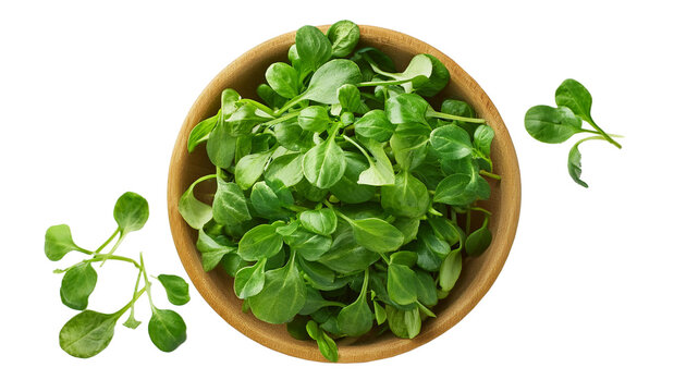 Bowl of fresh watercress leaves isolated on transparent background, flat lay, png