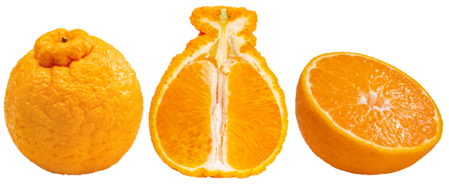 3 types of oranges, whole and sliced  on white background, Dekopon orange or sumo mandarin tangerine isolate on white PNG File.