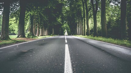 Fototapeta premium Asphalt Road Through a Forest