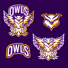 SET BUNDLE FLYING OWL MASCOT LOGO DESIGN