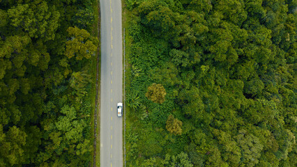Aerial view of asphalt road in the middle of the pine forest background. Royalty high-quality free best stock of top view SUV car adventure driving on deep jungle road surrounded by lush green forest