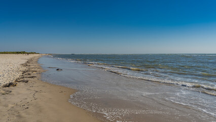 The waves of the turquoise ocean roll, foam and spread over the sandy beach. Dry algae on the sand of the water's edge. Tiny silhouettes of people walking in the distance. Clear blue sky. Copy space