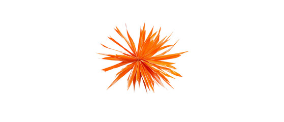 Vibrant orange design element resembling a starburst, perfect for backgrounds and creative projects.