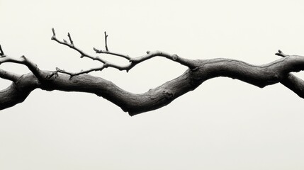 A pair of intertwined branches creating a symbol of unity and connection in nature elegant and simple composition