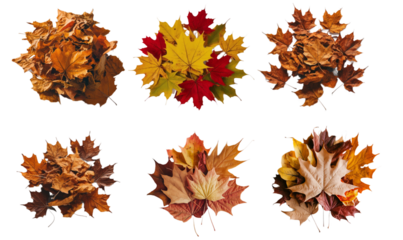 A pile of dry leaves in autumn, isolated on a transparent background PNG