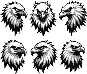 head hawk vector logo illustration
