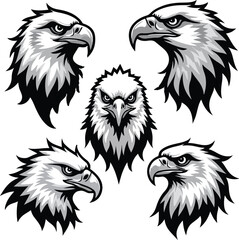 head hawk vector logo illustration
