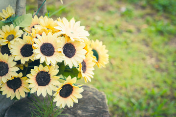 the sunflower in the garden with dramatic tone