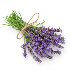 Background Bundle. Lavandula Flower Design on White Background for Summer Card