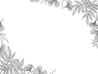秋の植物の線画フレーム②黒